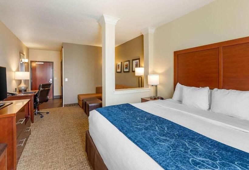 キングサイズベッドのスイートルーム, Comfort Suites Near Denver Downtown