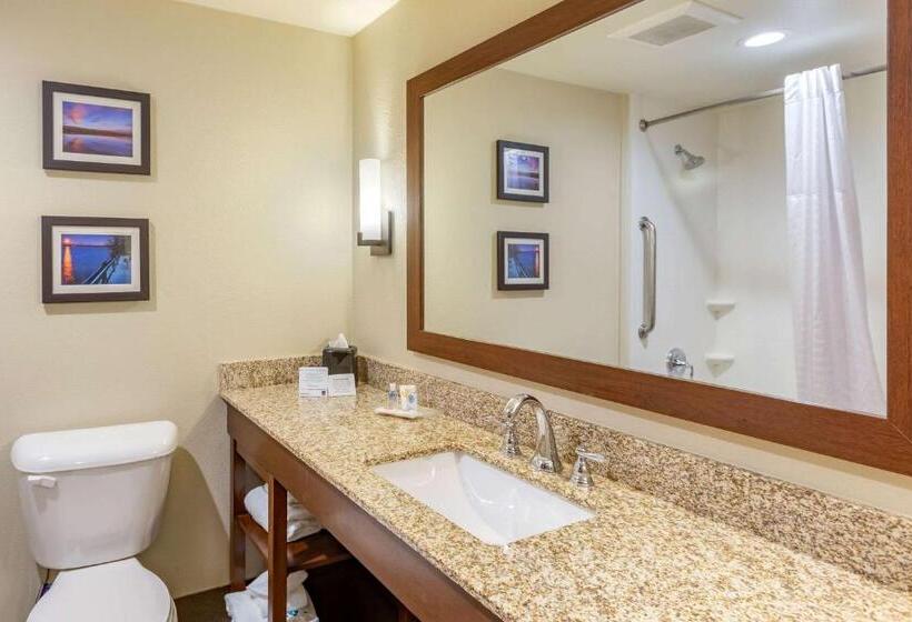 キングサイズベッドのスイートルーム, Comfort Suites Near Denver Downtown