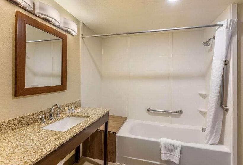 סוויטה משפחתית, Comfort Suites Near Denver Downtown