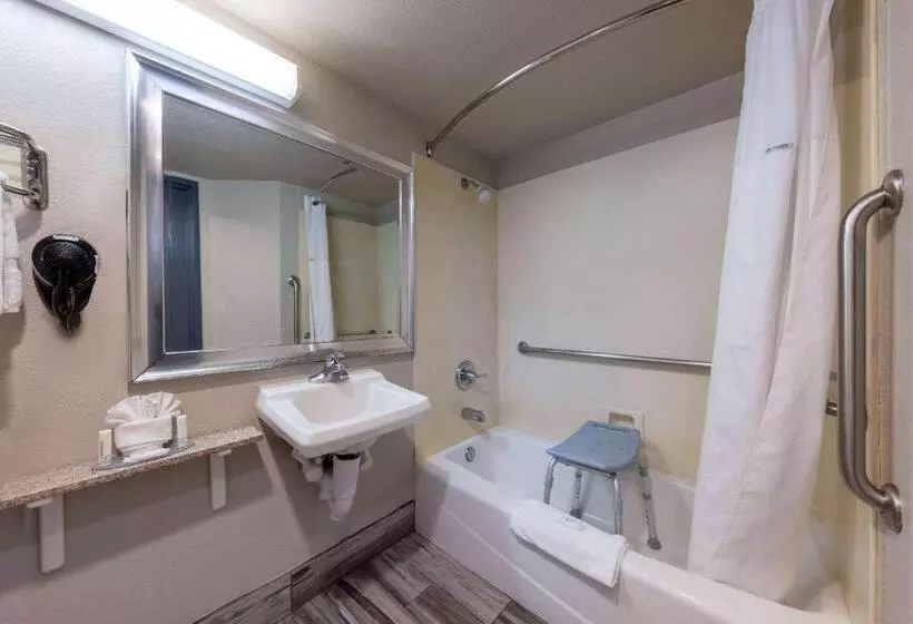 اتاق استاندارد با تخت بزرگ برای معلولان, Days Inn By Wyndham Lathrop
