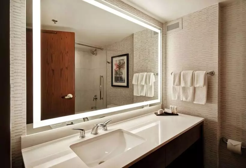スイート, Embassy Suites By Hilton Omaha Downtown Old Market