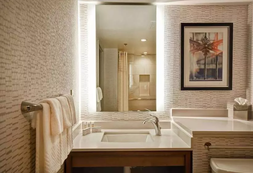 身障者適用スタンダードルーム, Embassy Suites By Hilton Omaha Downtown Old Market