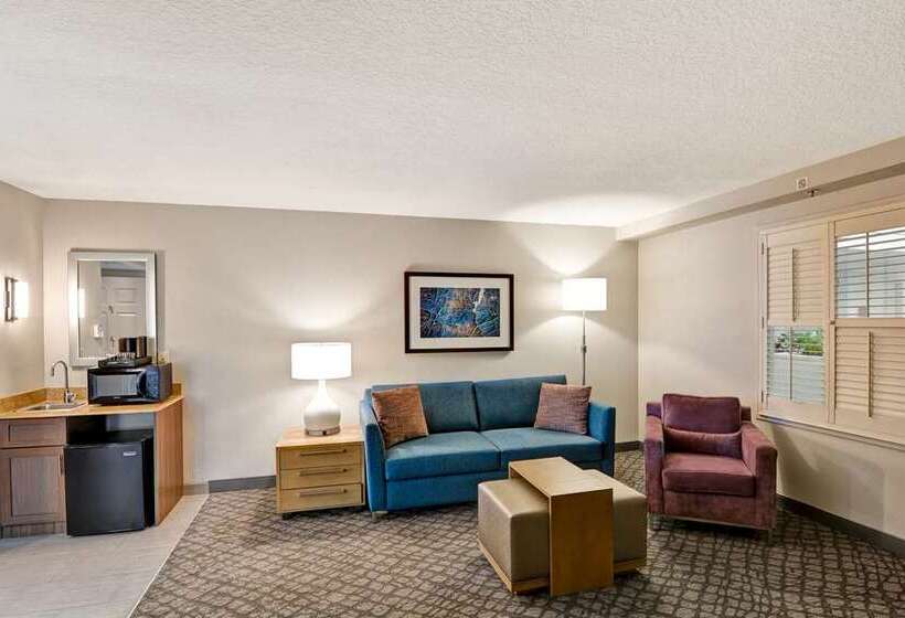 חדר סטנדרט עם מיטת קינג, Embassy Suites By Hilton Omaha Downtown Old Market