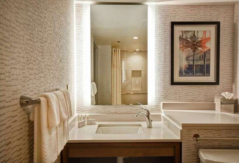 Номер Премиум, Embassy Suites By Hilton Omaha Downtown Old Market