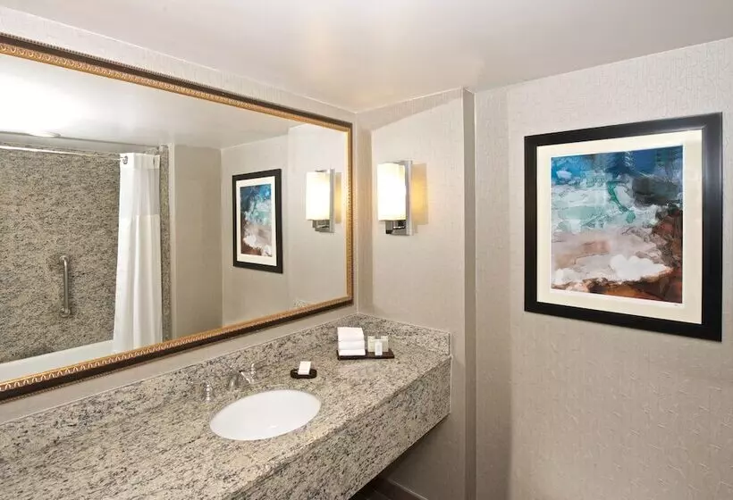 Sviitti King-vuode, Embassy Suites By Hilton Seattle Bellevue