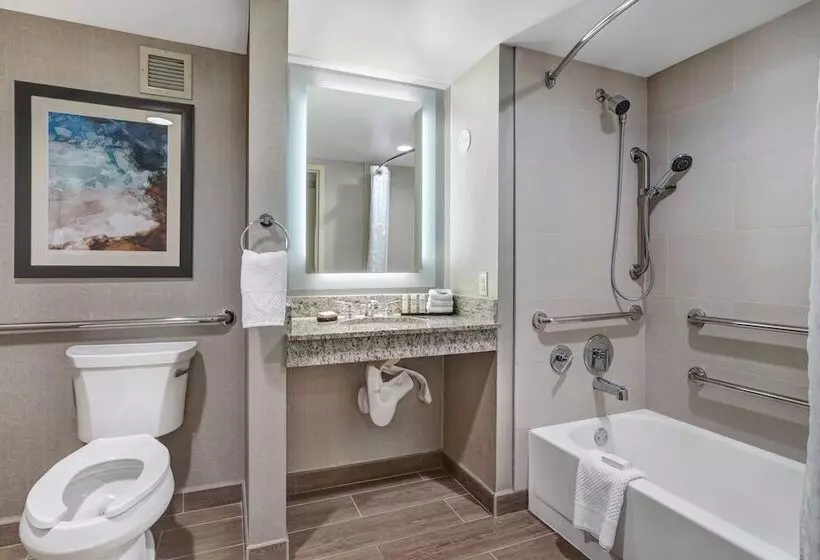 Sviitti, Embassy Suites By Hilton Seattle Bellevue