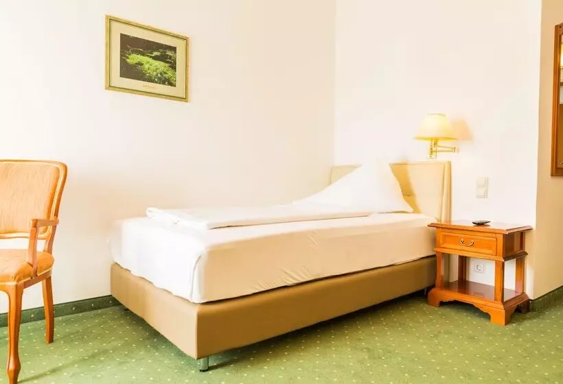 Economy Yhden Hengen Huone, Familie Hopfeld   Hotel Dreikönigshof
