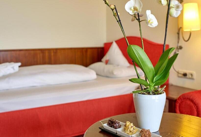 חדר קומפורט יחיד, Fit Vital Aktiv Hotel Das Ludwig