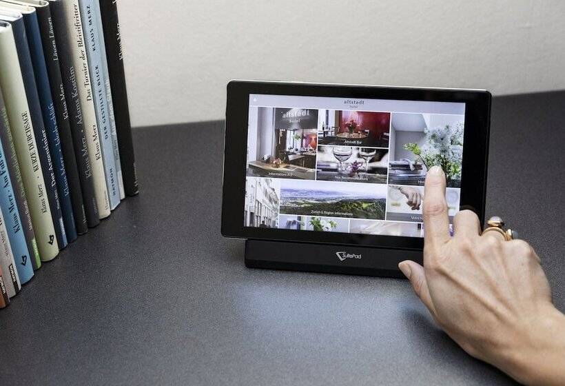 اتاق استاندارد با تراس, Altstadt