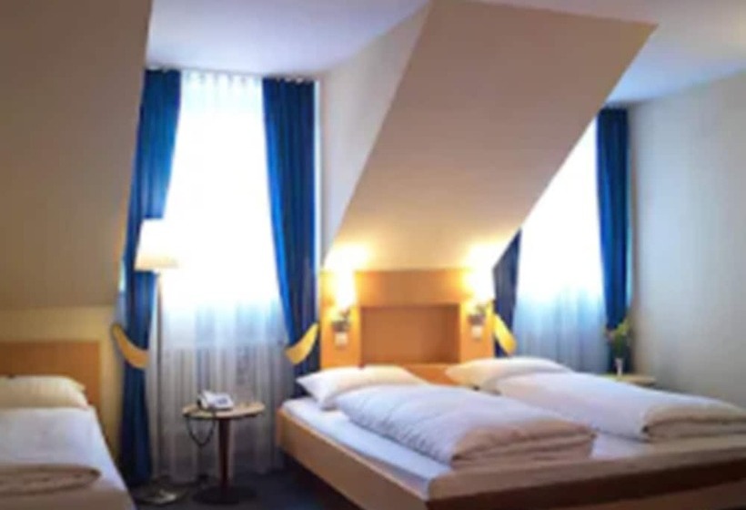 Quarto Estandar, Hauser An Der Universitat