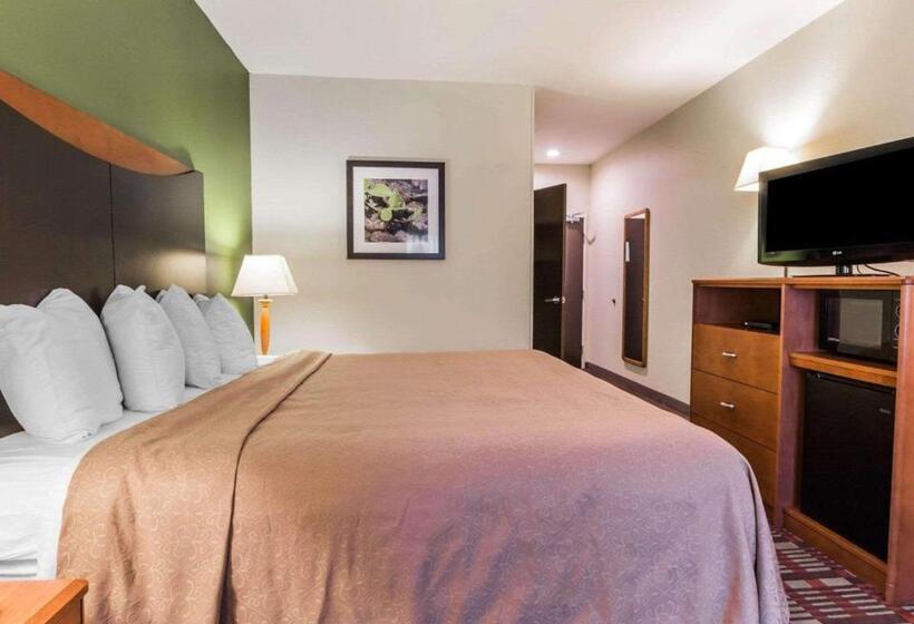 キングサイズベッドのスイートルーム, Quality Inn & Suites Birmingham   Highway 280