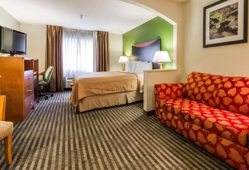 Suite Kingsize Bett, Quality Inn & Suites Birmingham   Highway 280