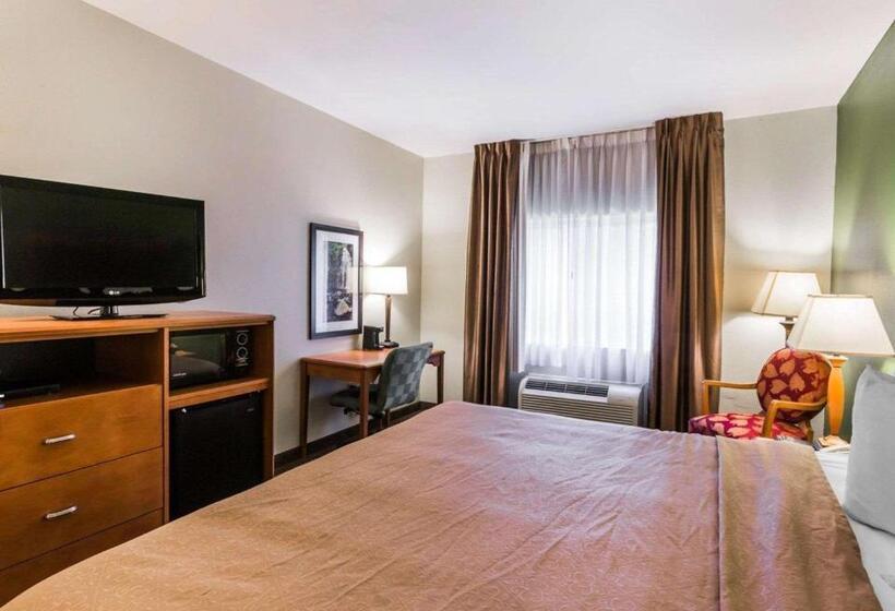 キングサイズベッドのスイートルーム, Quality Inn & Suites Birmingham   Highway 280