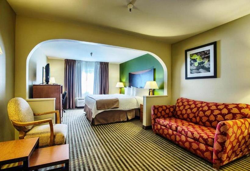 キングサイズベッドのスイートルーム, Quality Inn & Suites Birmingham   Highway 280