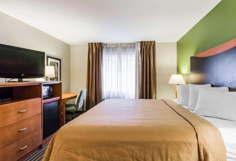 キングサイズベッドのスタンダードルーム, Quality Inn & Suites Birmingham   Highway 280