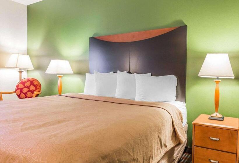 スタンダードルーム, Quality Inn & Suites Birmingham   Highway 280