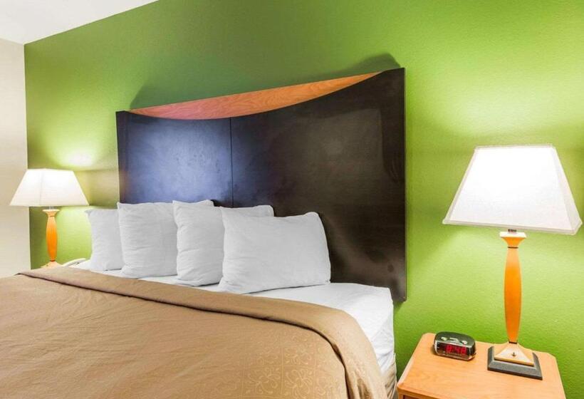 身障者適用キングサイズベッドルーム, Quality Inn & Suites Birmingham   Highway 280