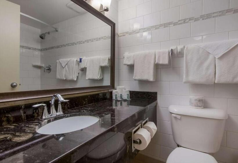 Номер Стандарт 2 Двуспальные Кровати, Best Western Brantford Hotel And Conference Centre