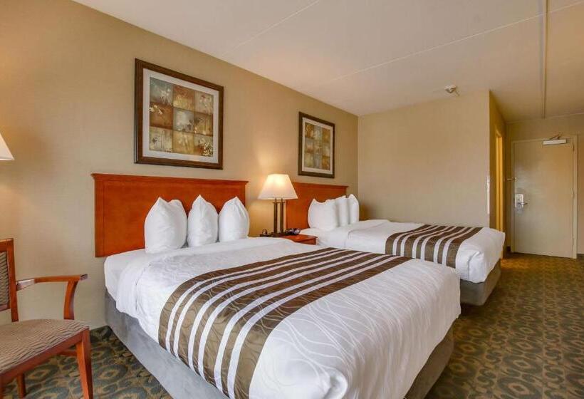 חדר סטנדרט שתי מיטות זוגיות, Best Western Brantford Hotel And Conference Centre