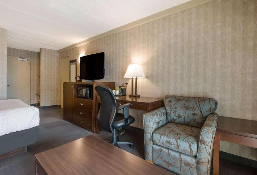 Стандартный Номер Кровать Кинг, Best Western Brantford Hotel And Conference Centre