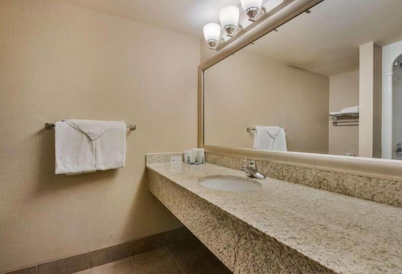 חדר סטנדרט, Best Western Brantford Hotel And Conference Centre