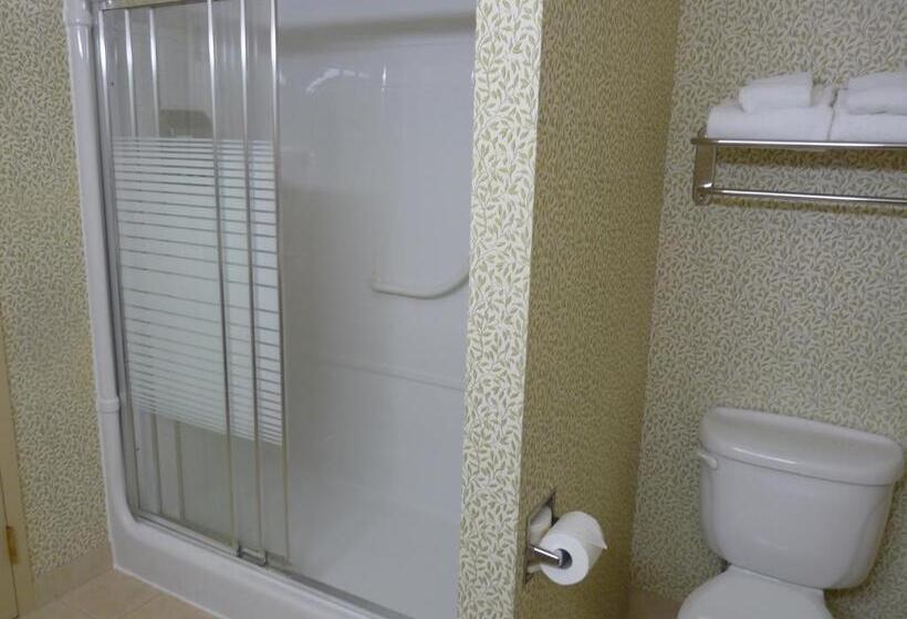 מיטת קינג בסוויטה, Best Western Brantford Hotel And Conference Centre