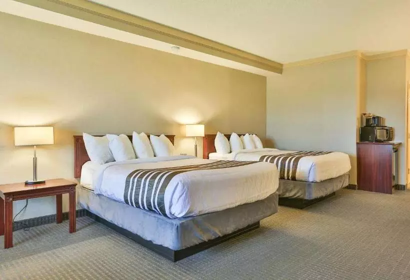 اتاق استاندارد برای معلولان, Best Western Brantford Hotel And Conference Centre