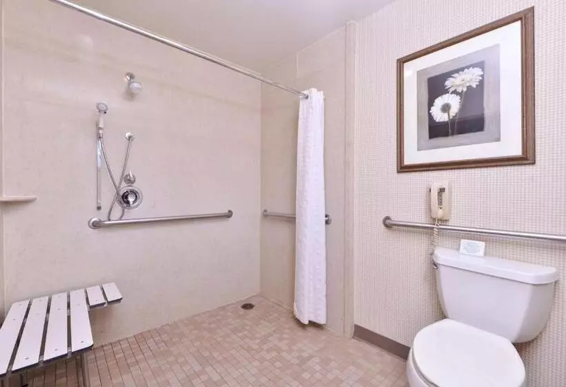 اتاق استاندارد با تخت بزرگ برای معلولان, Best Western Corte Madera Inn