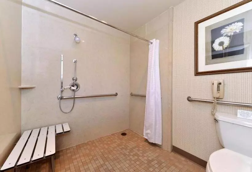 اتاق استاندارد با تخت بزرگ برای معلولان, Best Western Corte Madera Inn