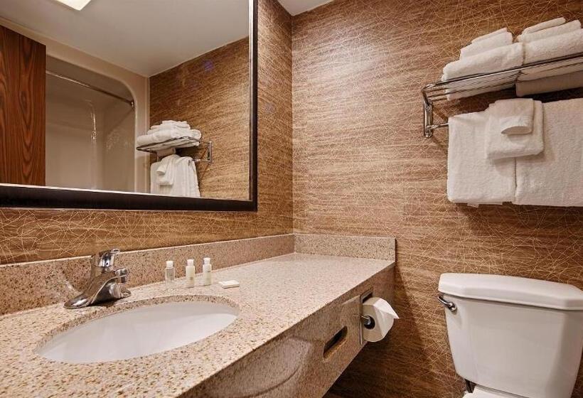 Номер Стандарт 2 Двуспальные Кровати, Best Western Detroit Livonia