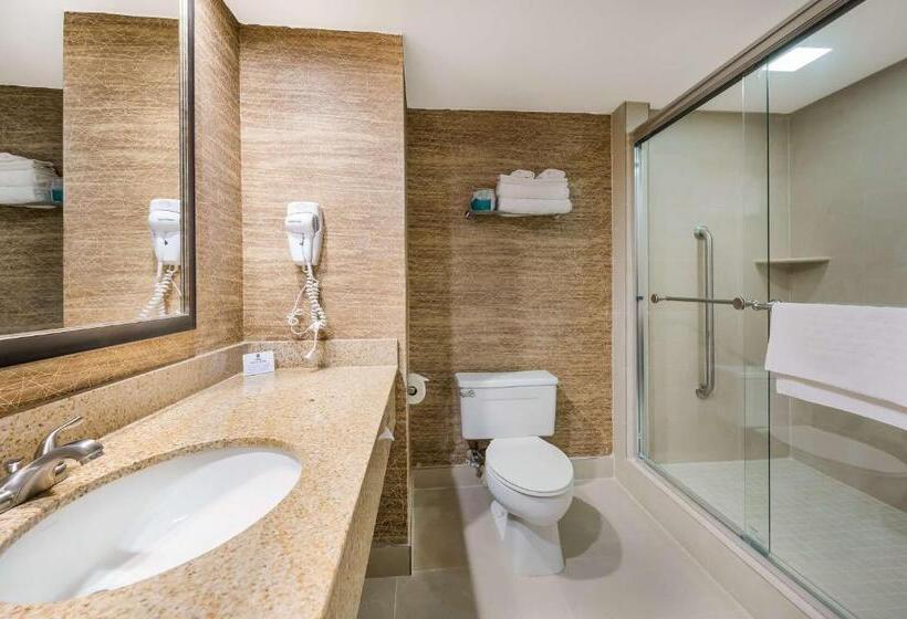 Стандартный Номер Кровать Кинг, Best Western Detroit Livonia