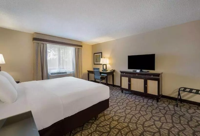 キングサイズベッドのスタンダードルーム, Best Western Detroit Livonia