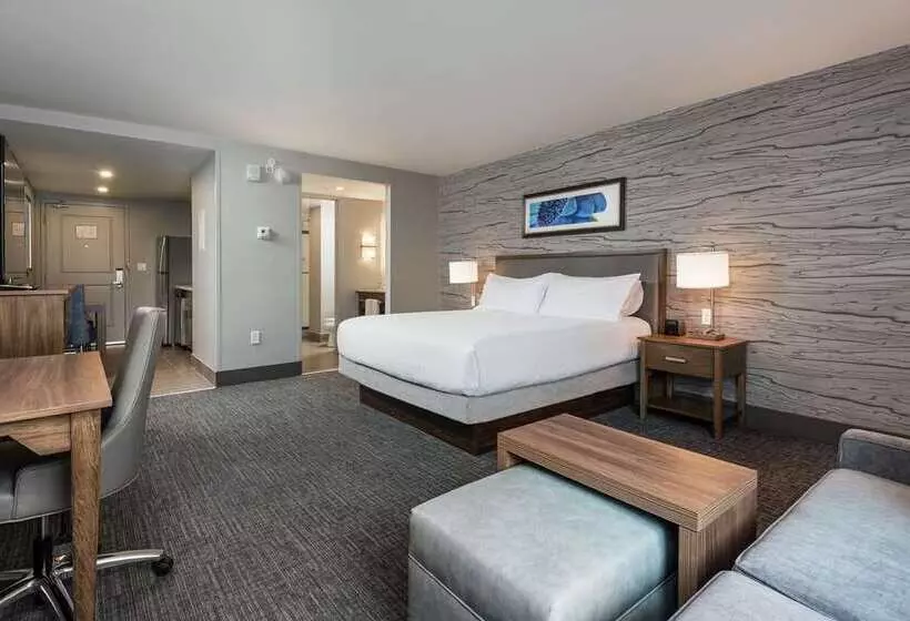 キングサイドベッドのスタンダードワンルーム, Hampton Inn & Suites Houghton