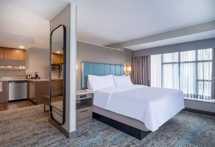 キングサイドベッドのスタンダードワンルーム, Hampton Inn & Suites Houghton