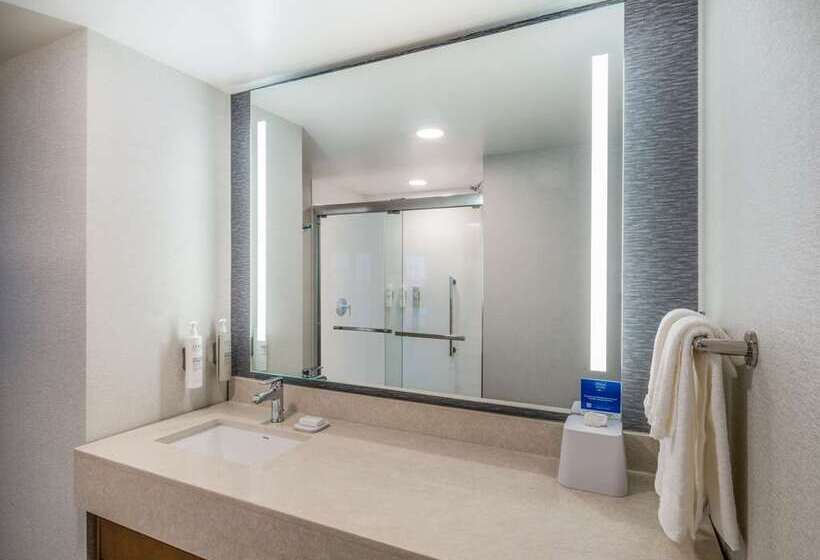 Студио Стандарт Кровать Кинг, Hampton Inn & Suites Houghton