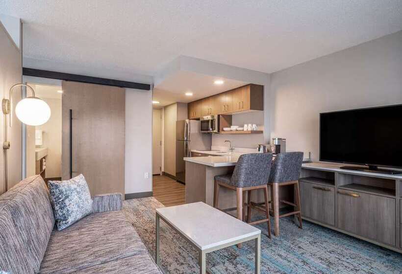 Студио Стандарт Кровать Кинг, Hampton Inn & Suites Houghton