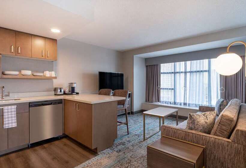 Студио Стандарт Кровать Кинг, Hampton Inn & Suites Houghton