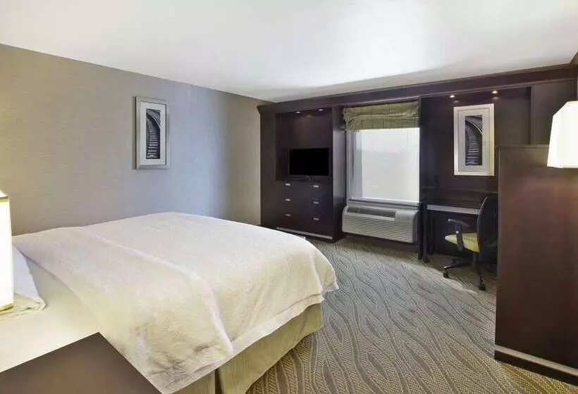 キングサイズベッドのスタンダードルーム, Hampton Inn & Suites Houghton