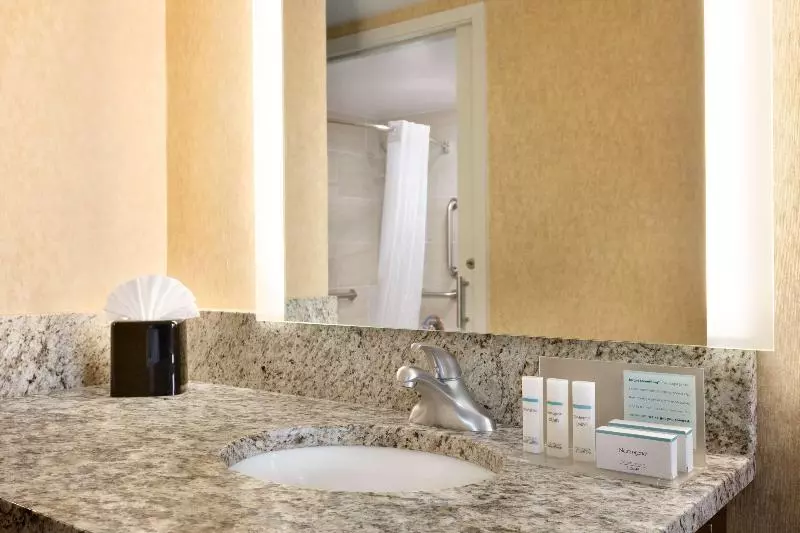 キングサイドベッドのスタンダードワンルーム, Hampton Inn Washington Dulles Int L Airport South