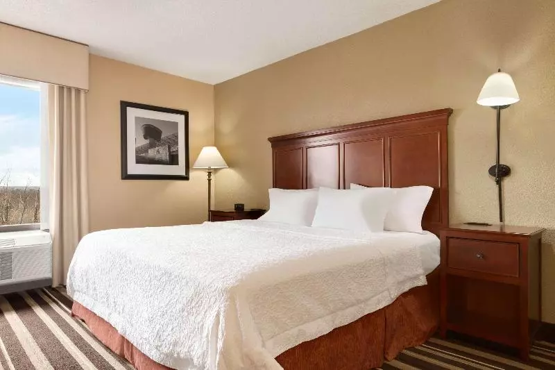 キングサイドベッドのスタンダードワンルーム, Hampton Inn Washington Dulles Int L Airport South