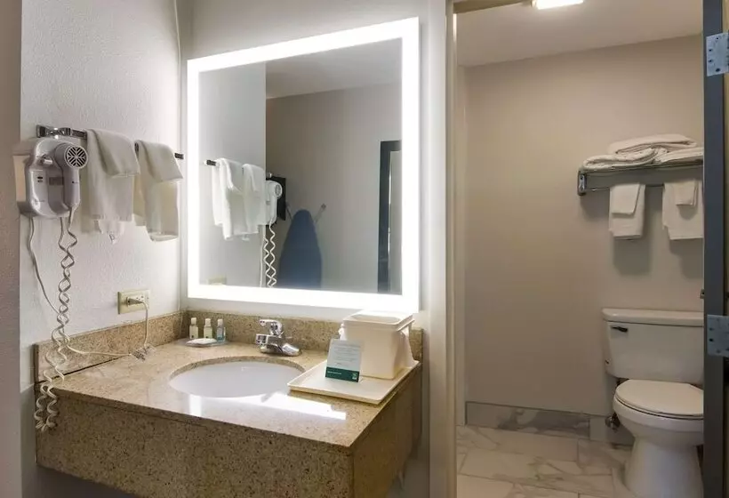 ２ダブルベッドのスタンダードルーム, Quality Inn Aurora  Naperville Area