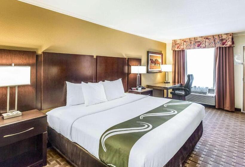غرفة قياسية سرير كينج, Quality Inn & Suites