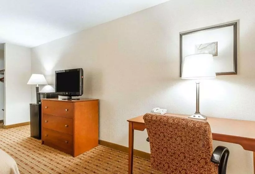 اتاق استاندارد با تخت بزرگ, Quality Inn & Suites