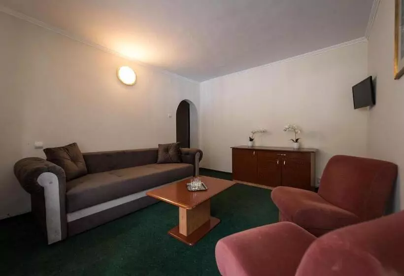 Family Room, Silva Busteni