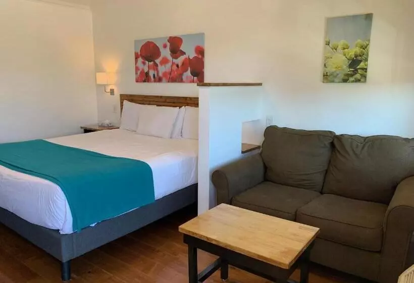 سوئیت با تخت بزرگ, Sandyland Reef Inn