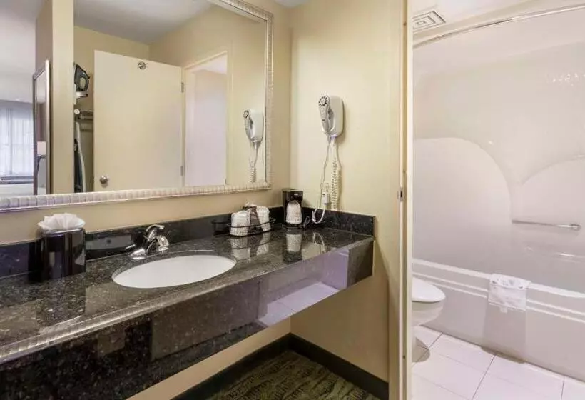 اتاق استاندارد با تخت بزرگ, Best Western Mcallen Medical Center