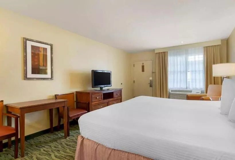 اتاق استاندارد با تخت بزرگ, Best Western Mcallen Medical Center