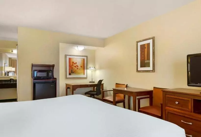 اتاق استاندارد با تخت بزرگ, Best Western Mcallen Medical Center