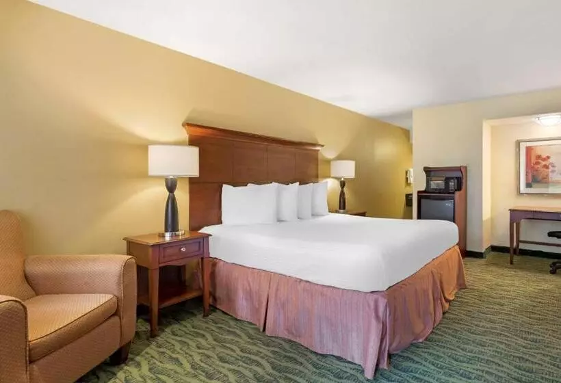 اتاق استاندارد با تخت بزرگ, Best Western Mcallen Medical Center