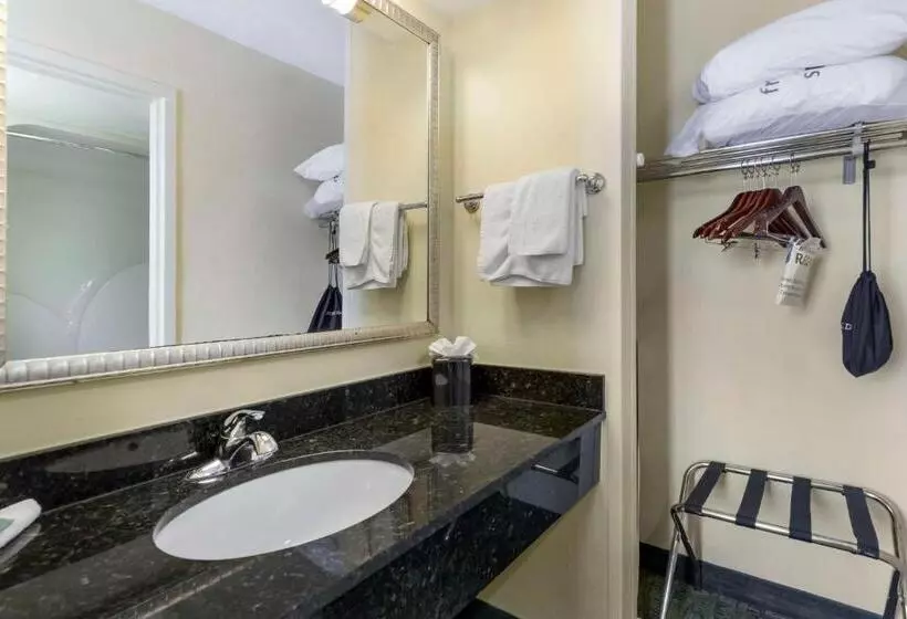 سوئیت با تخت بزرگ, Best Western Mcallen Medical Center